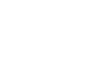 Transul